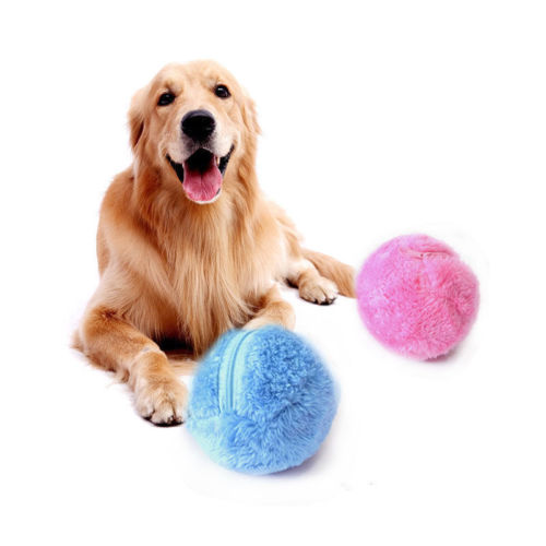 Interactieve Bal 'Roll-it' voor Kat/Hond